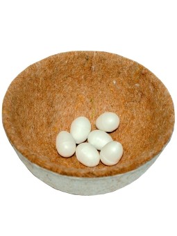 Nido Yute Pajaros